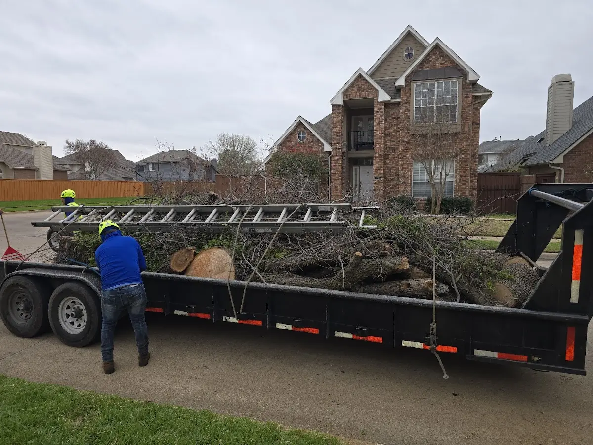 Expert Lot Clearing with proper safety equipment in Cass